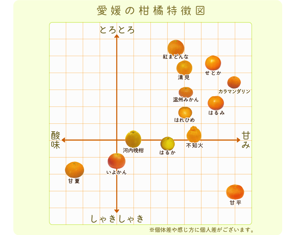 柑橘チャート図